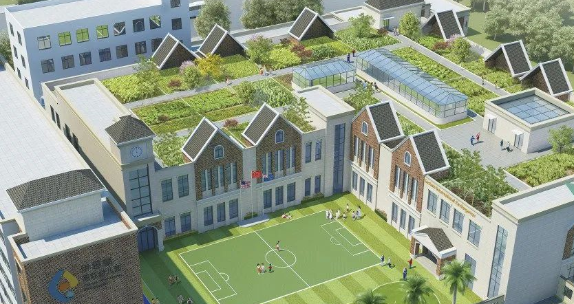 龙华区外国语学校教师_龙华外国语学校老师_龙华一对一外教怎么选
