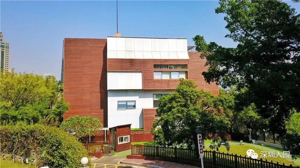 龙华外国语学校老师_龙华区外国语学校教师_龙华一对一外教怎么选