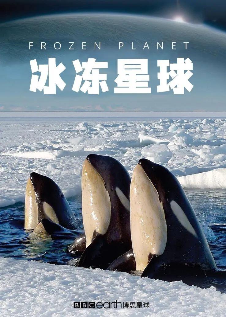 学英语的纪录片_适合学英语的英语纪录片_学英语bbc纪录片