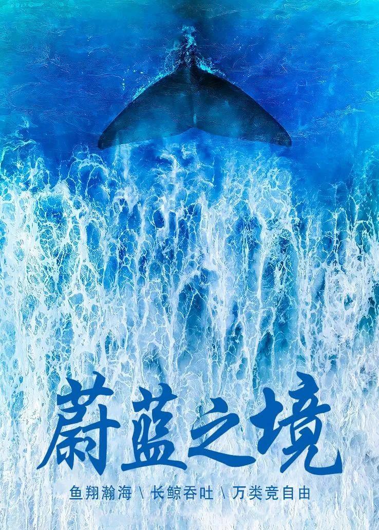 学英语bbc纪录片_适合学英语的英语纪录片_学英语的纪录片