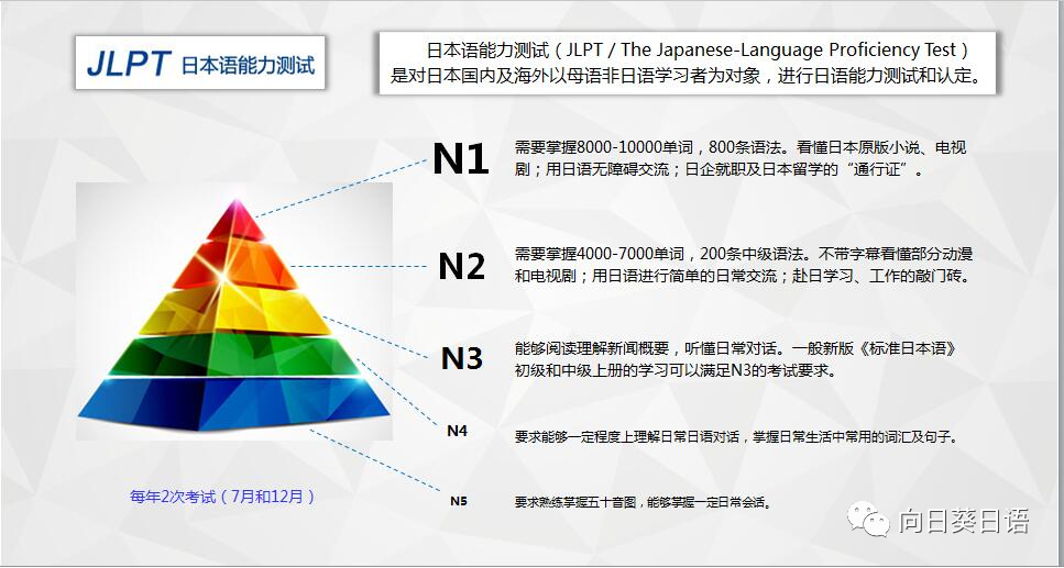 在线日语外教平台_日语外教网站_日语外教线上一对一