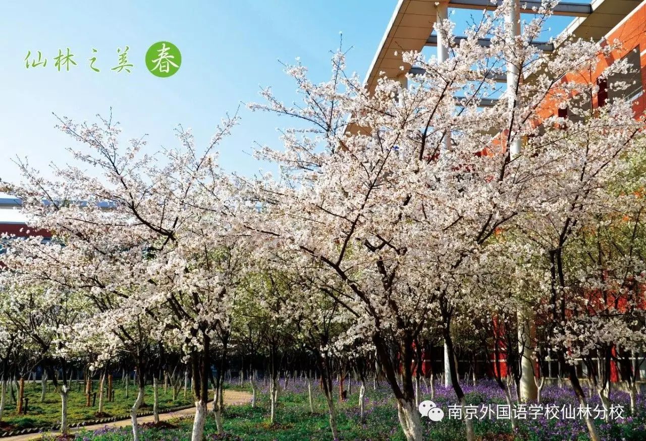 网上外教一对一教学可靠吗可信吗_网上外教课程推荐知乎_可靠可信外教网上教学app
