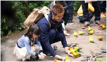 北京英语外教一般多少钱一节课_北京外教英语培训班_学英语 外教一对一 北京