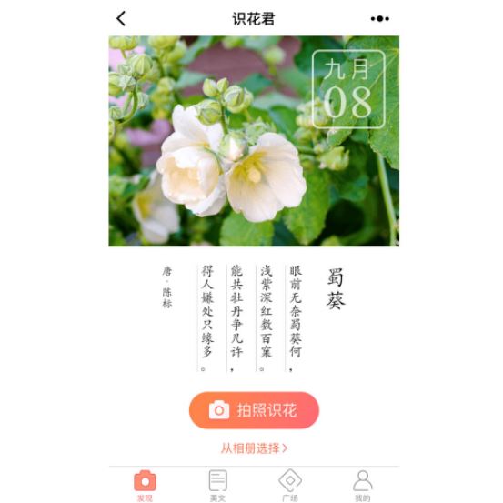 微信学英语的小程序_微信学英语软件_微信上的英语小程序