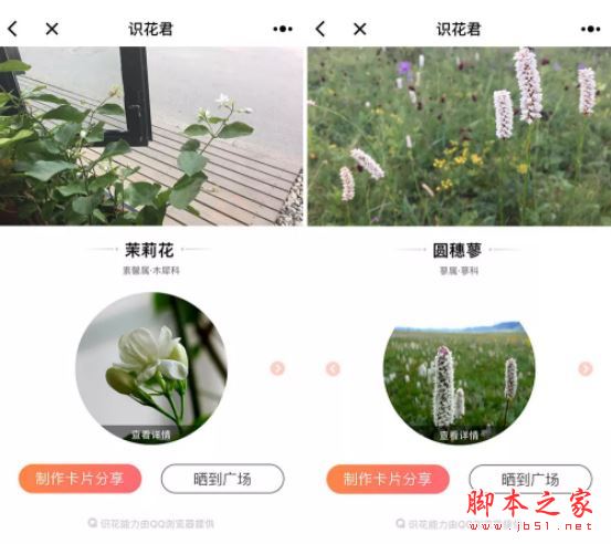微信学英语软件_微信上的英语小程序_微信学英语的小程序