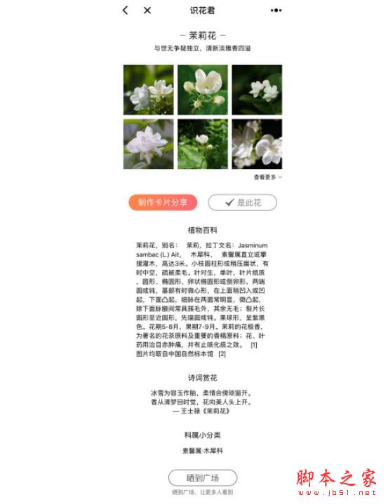 微信学英语的小程序_微信上的英语小程序_微信学英语软件