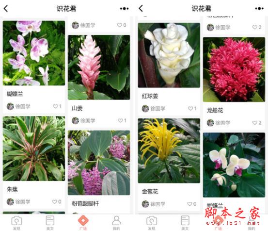 微信上的英语小程序_微信学英语软件_微信学英语的小程序