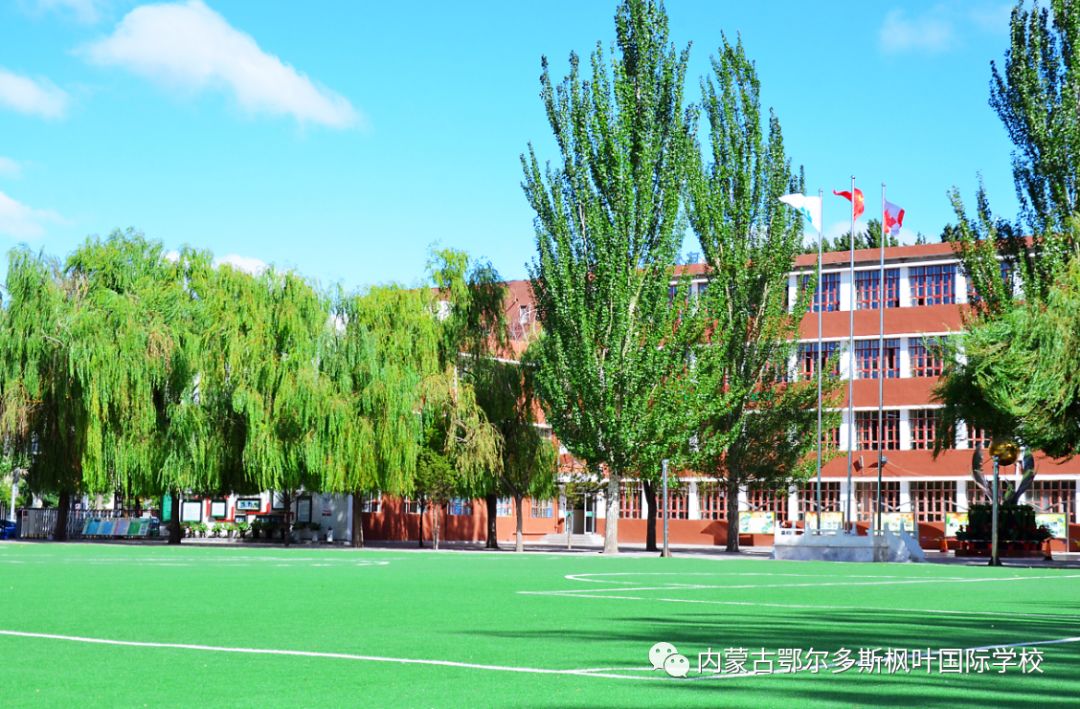 鄂尔多斯外国语学校_鄂尔多斯专业线上一对一外教_鄂尔多斯教育怎么样