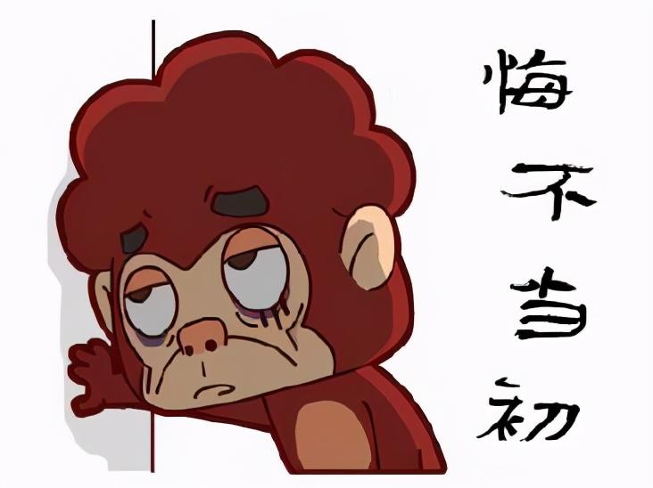 海底小纵队学英语_纵队英语怎么说_海底小纵队英语课
