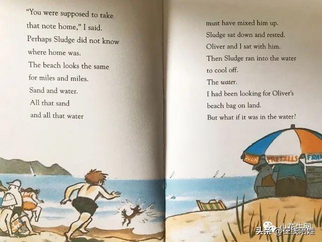 纵队英语怎么说_海底小纵队学英语_海底小纵队英语课程