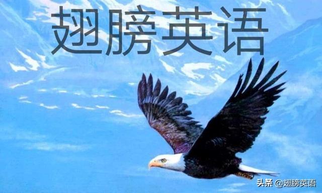 副词用法和位置_副词使用位置_副词的用法和位置