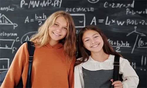 英语作文学校规则_关于如何学英语的作文_英语作文学校