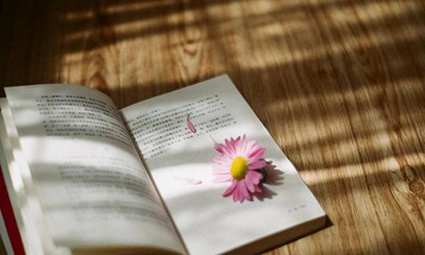 英语基础学可以学什么_零基础可以学英语吗_基础英语学什么