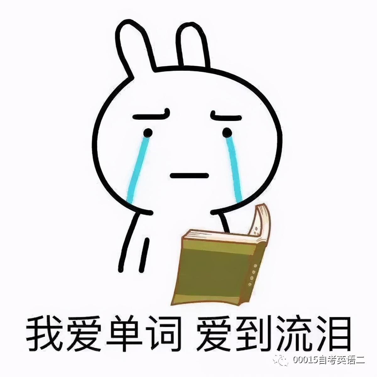 背英语app_背英语的软件哪个好用_不背英语APP下载