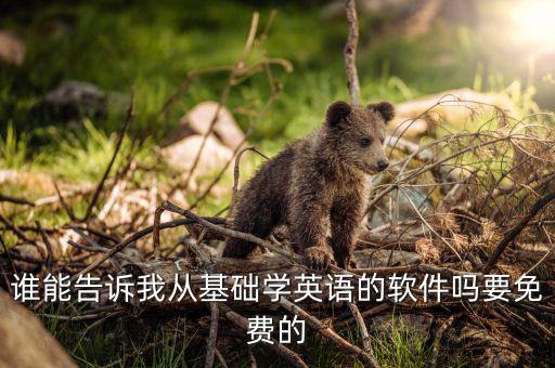 谁能告诉我从基础学英语的软件吗要免费的
