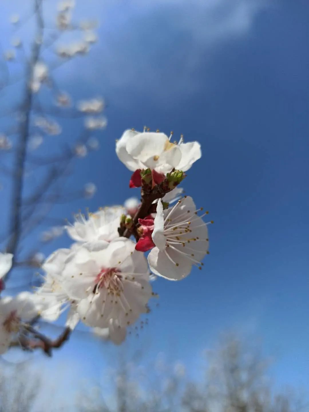 英语教师培训心得体会总结_培训心得体会英语总结教师发言_教师英语培训心得体会英文范文