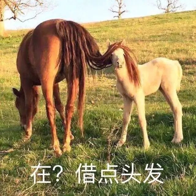 英语好学德语_用英语学德语好吗_同时学英语和德语