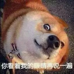英语好学德语_同时学英语和德语_用英语学德语好吗