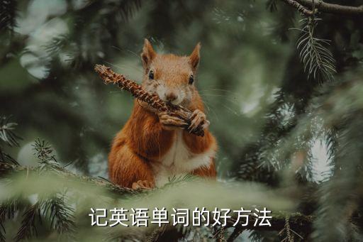 记英语单词的好方法