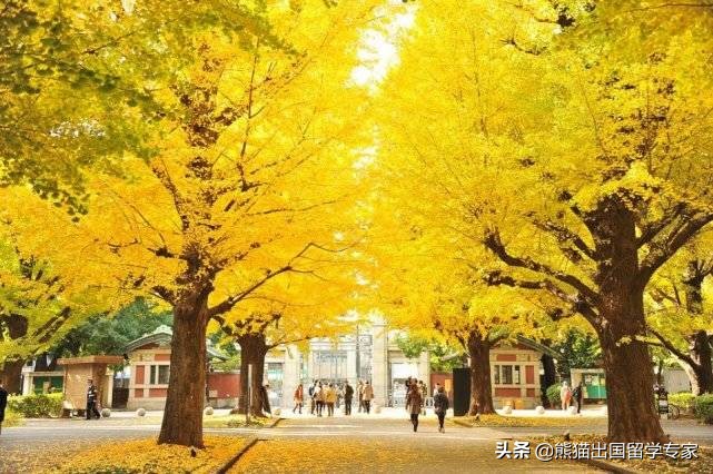 外教日语_日语外教用有哪些软件_日语外教一对一 有用吗