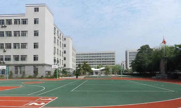 杭州外教多少钱一小时_外教费用_临平外教一对一收费标准