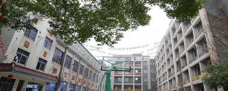 临平外教一对一收费标准_杭州外教多少钱一小时_外教费用