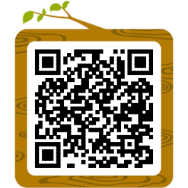 成人英语怎么学从零开始知乎_成人学英语的方法和技巧_成人英语学习方法