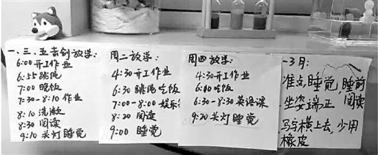 青岛外教英语机构_青岛外教英语培训_外教英语一对一青岛