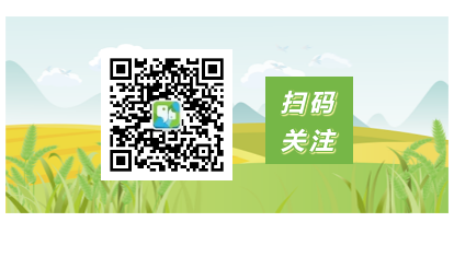青岛外语培训_外教英语一对一青岛_青岛外教英语培训