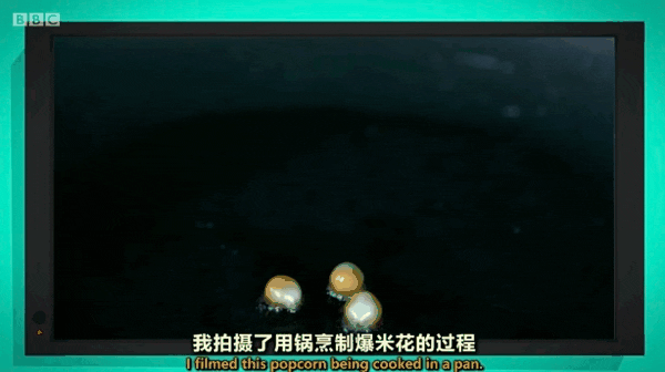 适合学英文的纪录片_适合学英语的纪录片_纪录片英语适合学生看吗