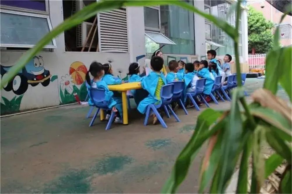 武汉外教一对一幼园有哪些_武汉外教园幼有多少人_武汉外教园幼有多少学生