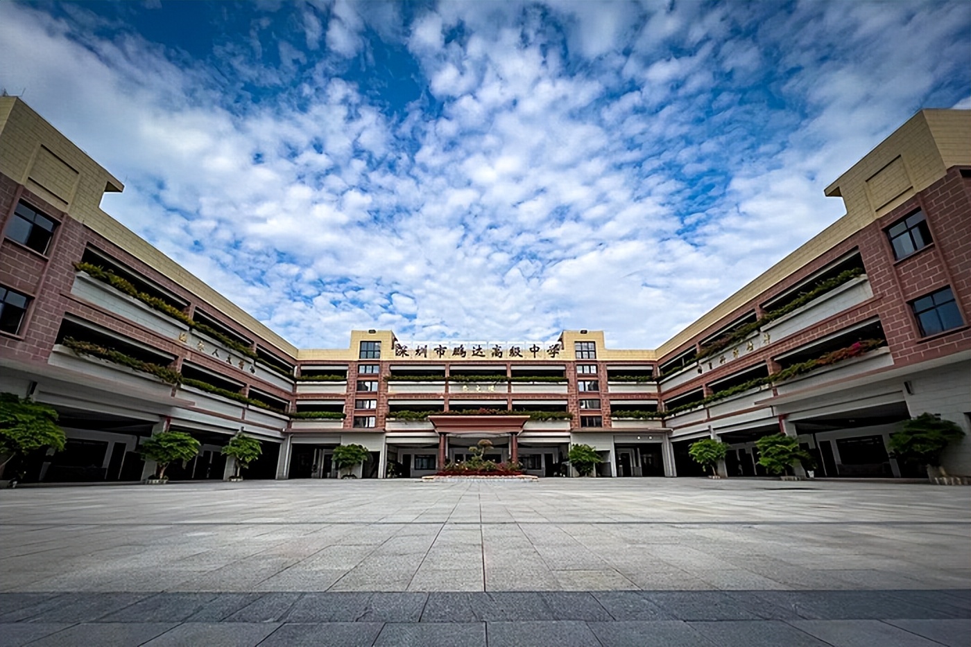 深圳学英语在哪里学_学英语深圳(s)报纸七上_学英语深圳s版七上