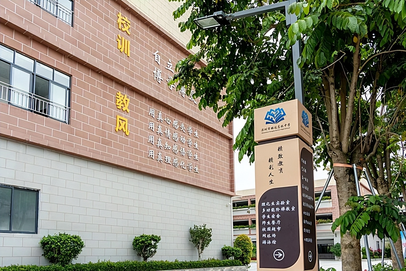 深圳学英语在哪里学_学英语深圳(s)报纸七上_学英语深圳s版七上