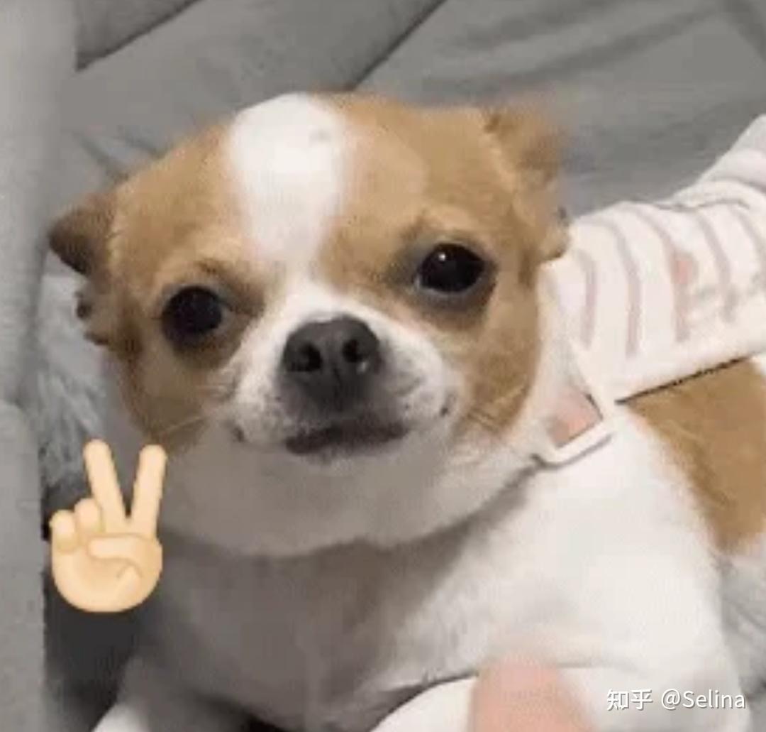 出国口语_出国口语培训_出国口语app哪个好用