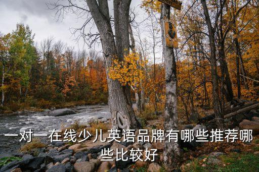 一对一在线英语品牌有哪些推荐哪些比较好