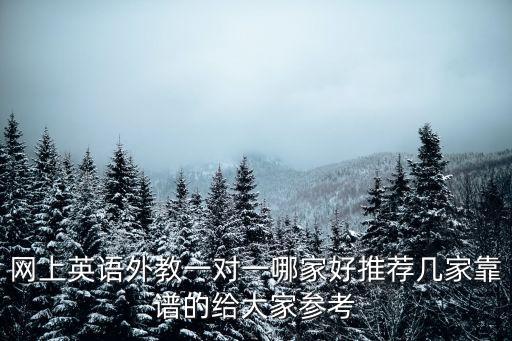 网上英语外教一对一哪家好推荐几家靠谱的给大家参考