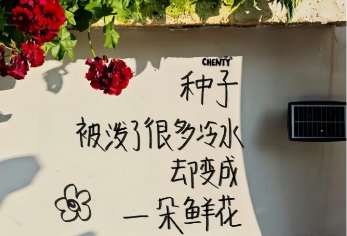 考研考英语专业要考吗_考研不考英语的专业_考研考英语专业怎么样