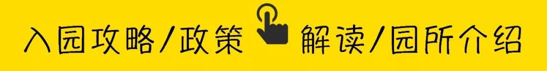 纯外教幼园_幼园外教班有用吗_外教一对一幼园怎么样