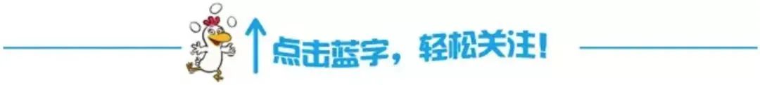 英语日常用语_日常用语的英文_用语日常英语