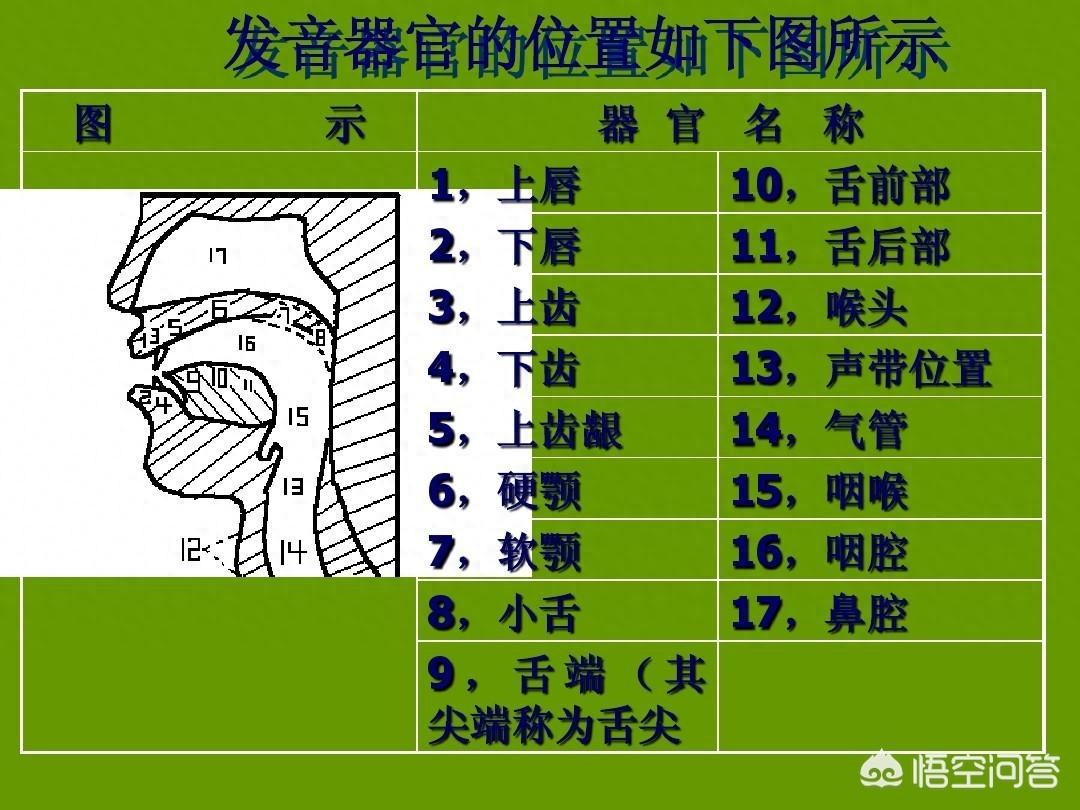 如何正确学英语方法_英语该怎么学才有效_英语正确学方法怎么学