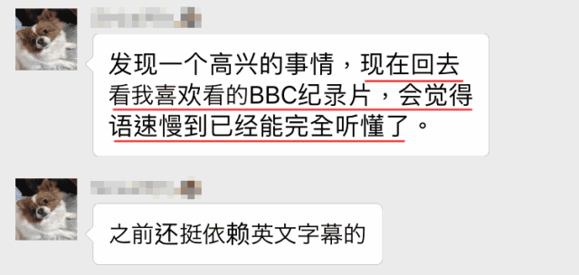 芝士派英语好吗_有谁用过芝士派英语觉得怎么样_派芝士英语好不好学