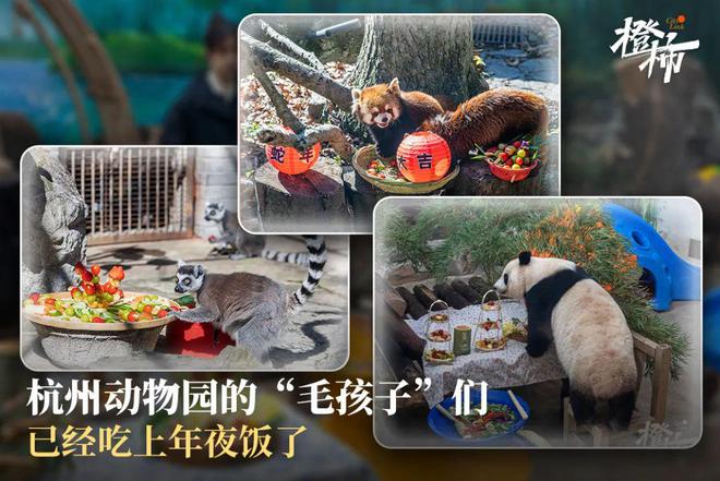 地面怎么读英语_地面的英语读音_地面英语读音怎么读