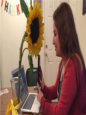 阿卡索英语如何收费_阿卡索英语价钱_阿卡索英语 vipkid