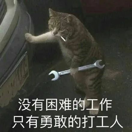 我的爸爸是上班族英语_上班族英语_上班族英语怎么读