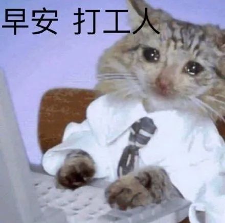 我的爸爸是上班族英语_上班族英语_上班族英语怎么读