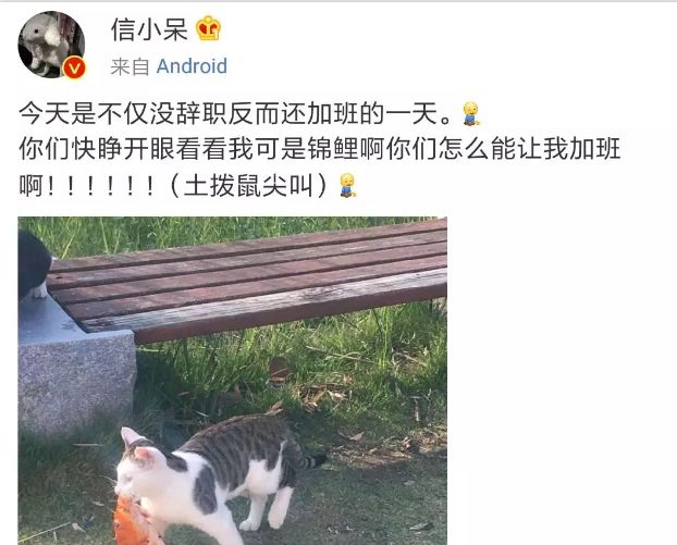 外教国是阿卡索国家吗_阿卡索外教都是哪国的_外教阿卡索怎么样