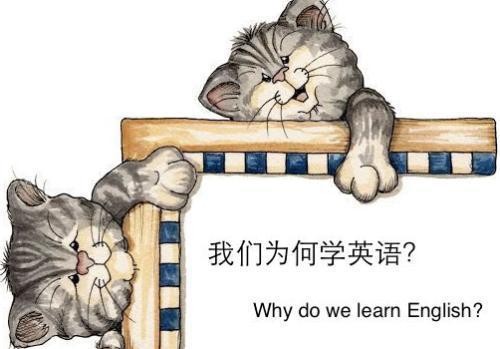 外教课_外教课一对一多少钱_tutor一对一外教