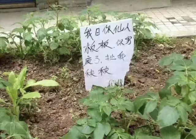 英语口语_哪里的英语_英语