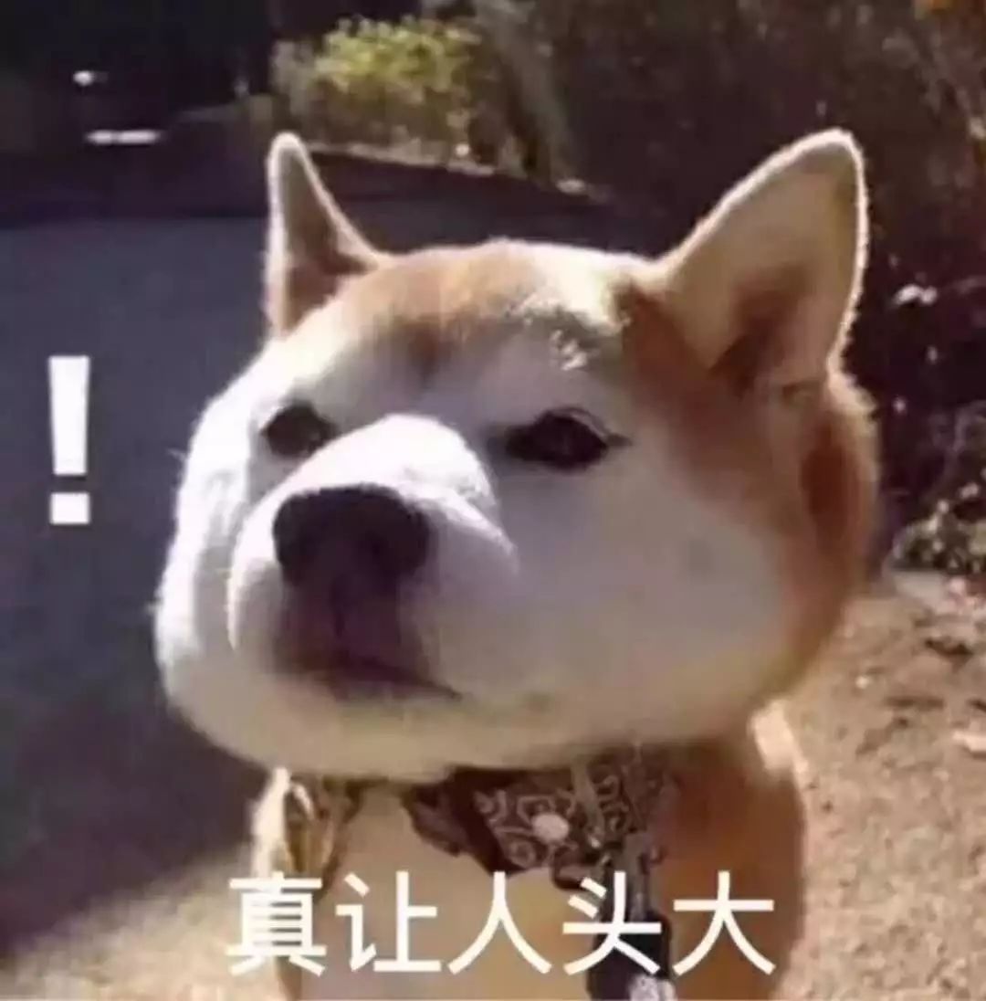 英语专升本学位考试_专升本英语怎么学_英语专升本学校