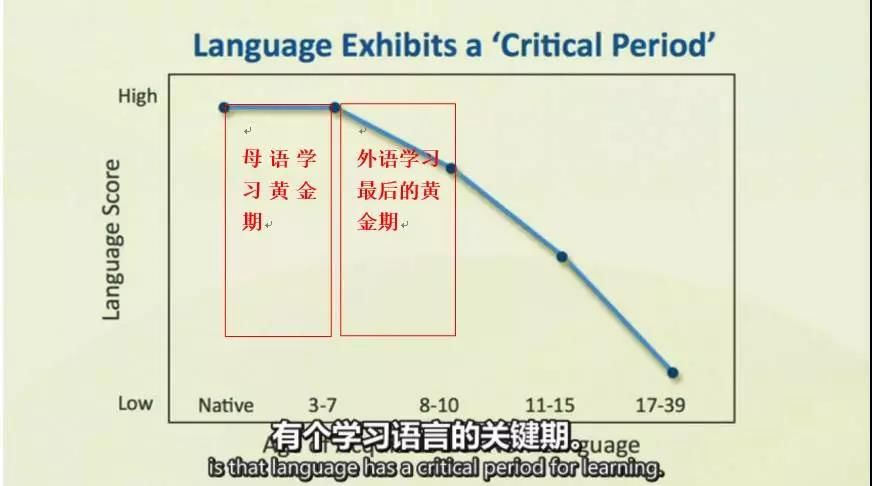 外教辅导班_外教辅导一对一免费_外教一对一辅导及价格表